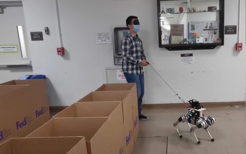 Robotic Guide Dog
